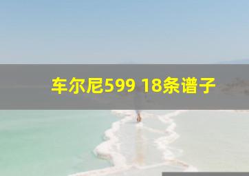 车尔尼599 18条谱子